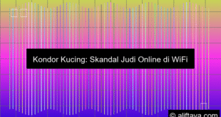 Kondor Kucing Edarkan Slot Online Lewat Wifi Sekolah