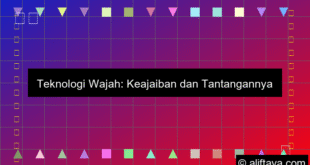 Teknologi Wajah